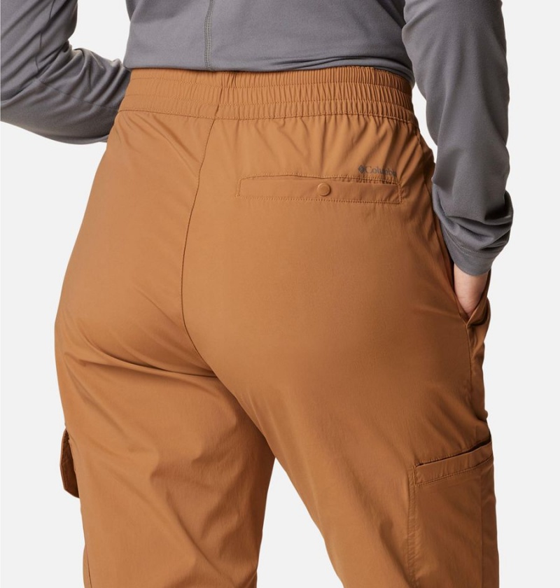 Brown Women's Columbia Boundless Trek Pleated Pants | STYAU-7820