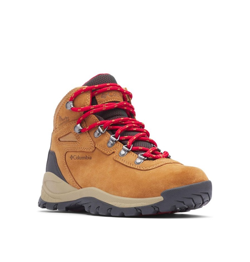 Brown Women's Columbia Newton Ridge Plus Waterproof Amped Boot Hiking Shoes | JOLIB-8210