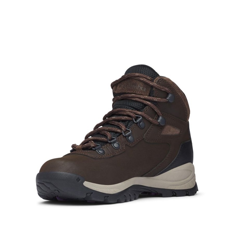 Brown Women's Columbia Newton Ridge Plus Waterproof Boot Hiking Shoes | GPURS-8369