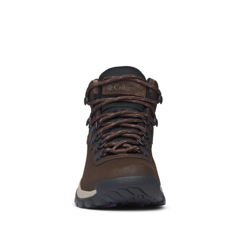 Brown Women's Columbia Newton Ridge Plus Waterproof Boot Hiking Shoes | GPURS-8369