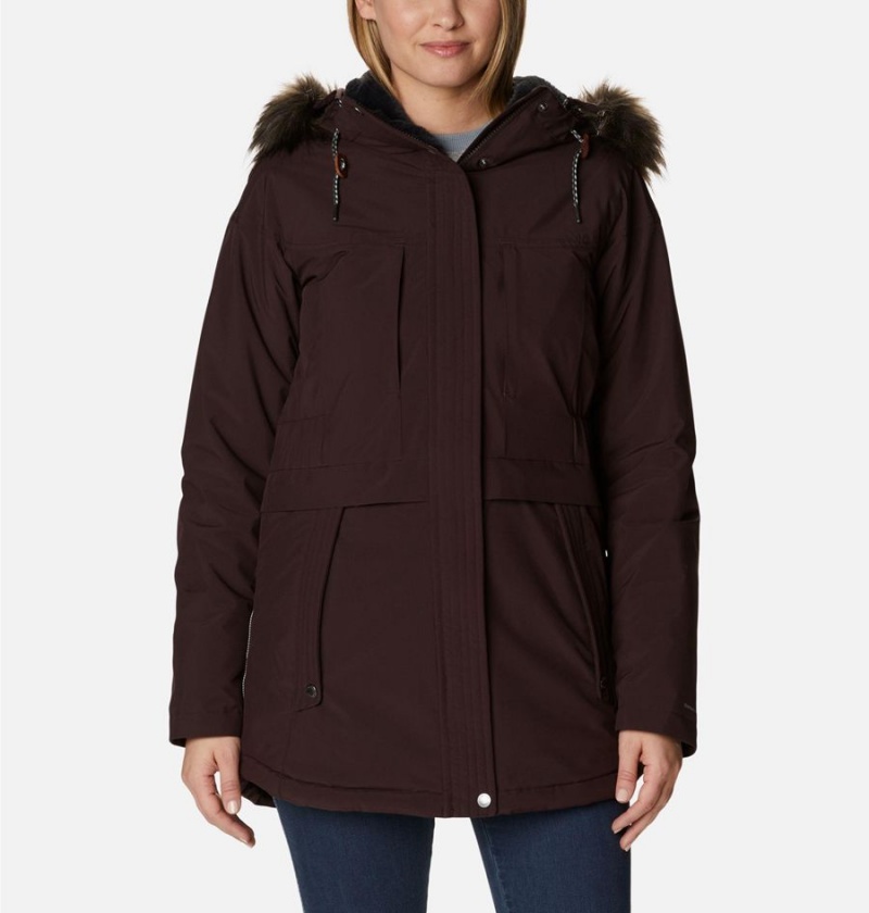 Brown Women\'s Columbia Payton Pass Insulated Coats | WIJKL-3746