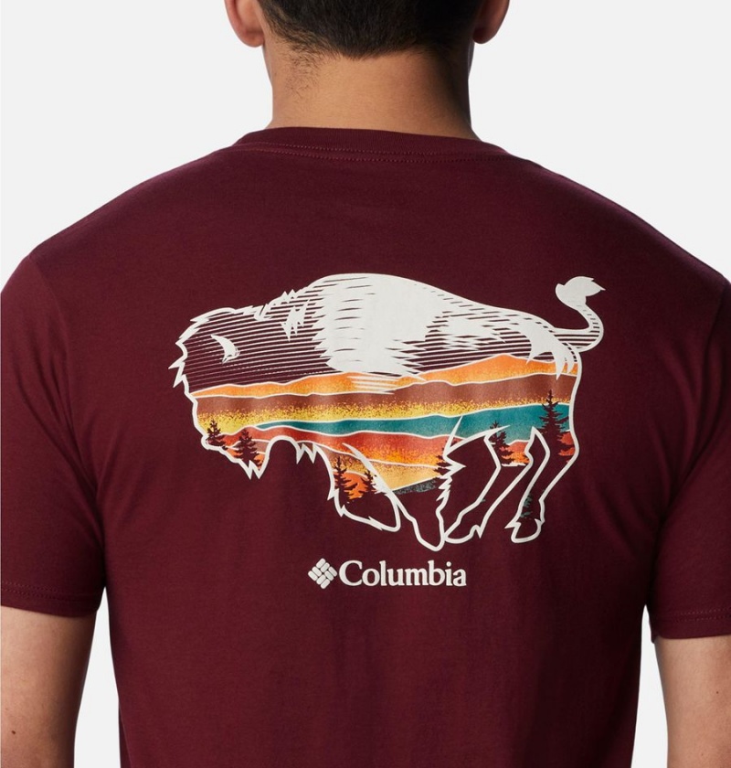 Burgundy Men's Columbia Rusher Graphic T-Shirt | XFIJU-3680