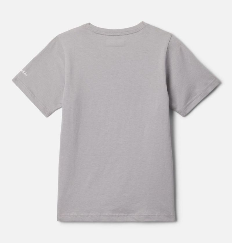 Grey Kids' Columbia Basin Ridge Short Sleeve Graphic T-Shirt | UZXKP-1907