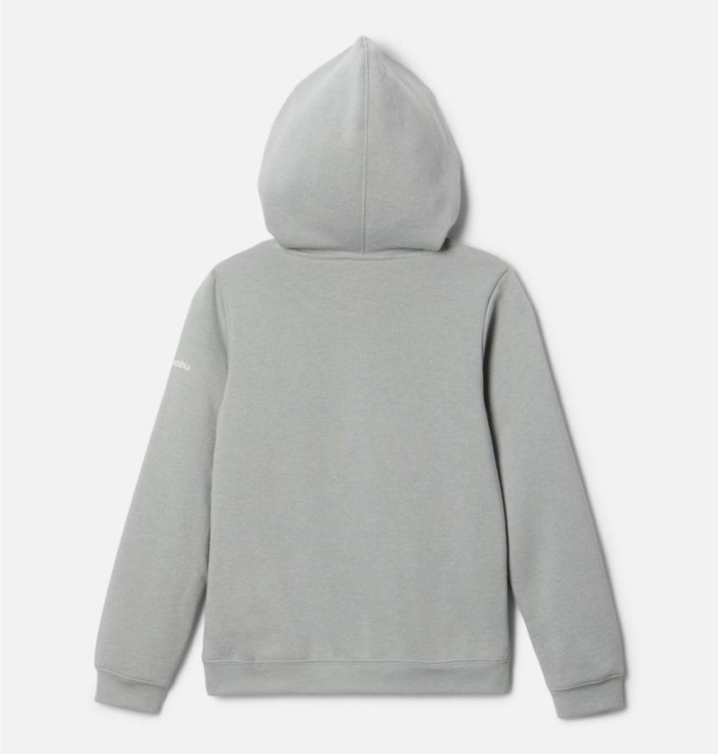 Grey Kids' Columbia Trek Pullover Hoodie | ONSRD-0852