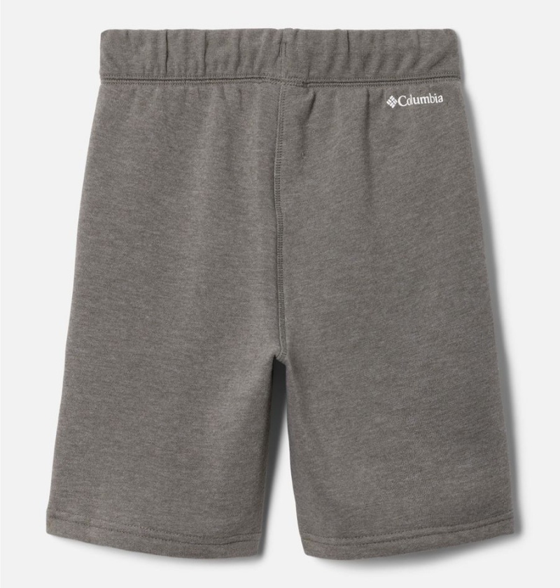 Grey Kids' Columbia Trek Shorts | WJISG-7801