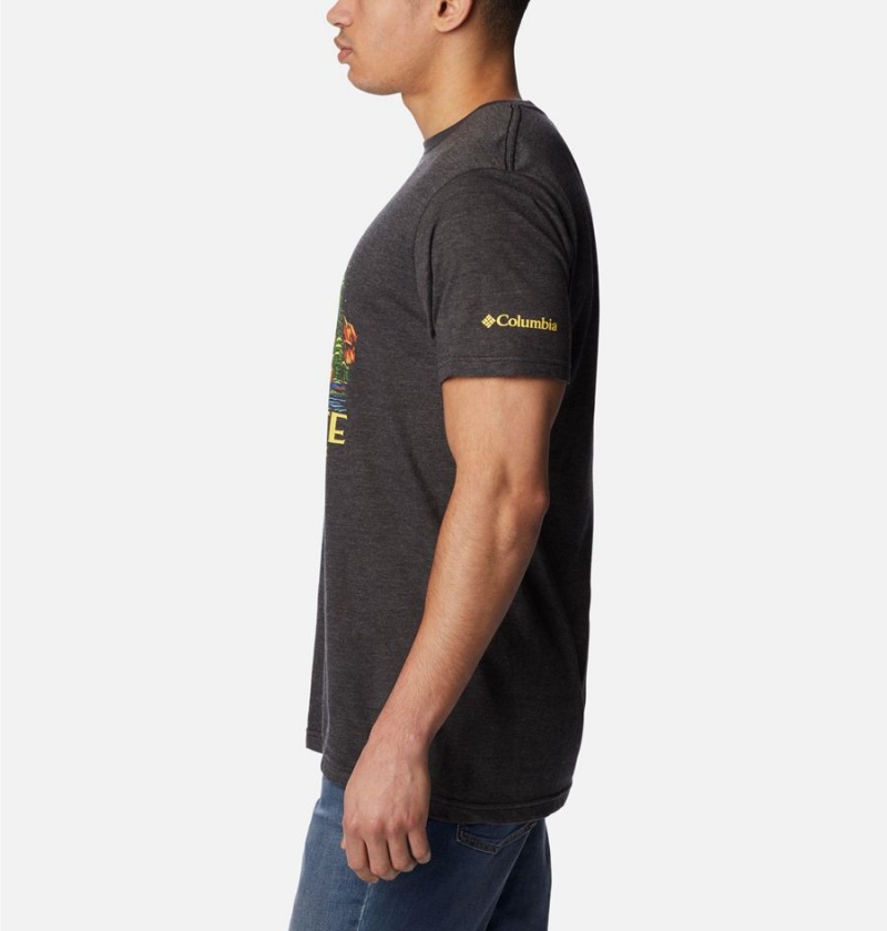 Grey Men's Columbia NP Capitan Yosemite Graphic T-Shirt | VPCKM-3509