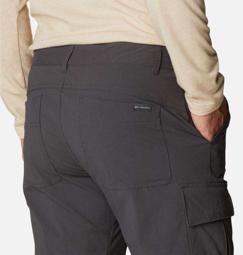 Grey Men's Columbia Newton Ridge II Convertible Pants | TBQFV-9743