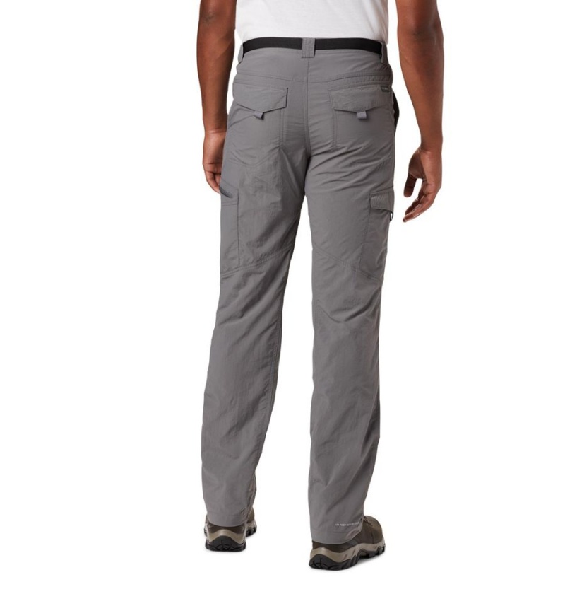 Grey Men's Columbia Silver Ridge Cargo Pants | LSXTM-8423