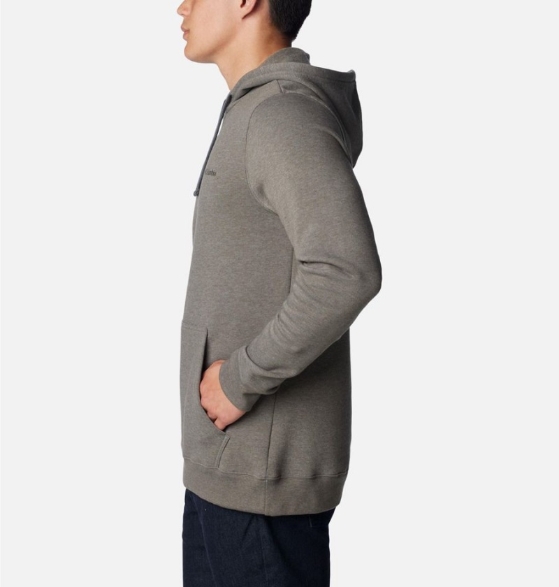 Grey Men's Columbia Trek Hoodie | HCGPW-3829