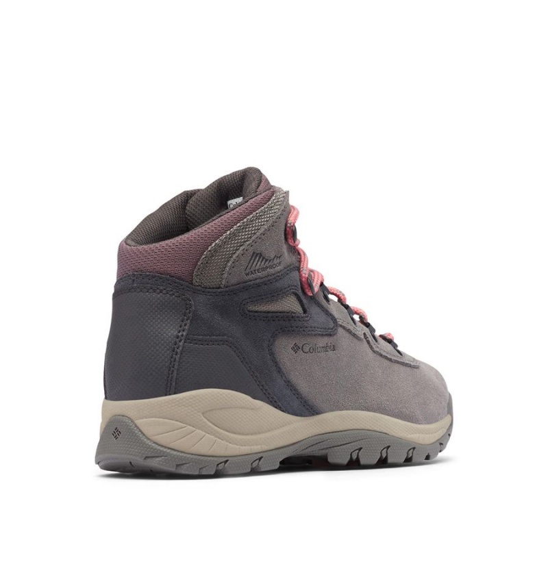 Grey Women's Columbia Newton Ridge Plus Waterproof Amped Boot Hiking Shoes | YRGTO-0614