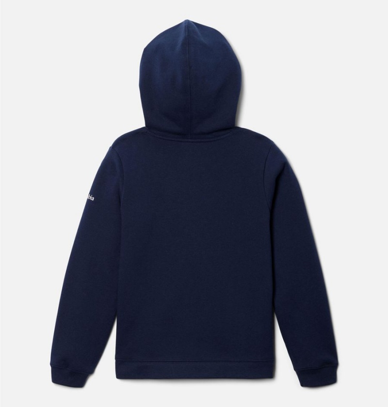 Navy Kids' Columbia Trek Pullover Hoodie | TNSEJ-3941