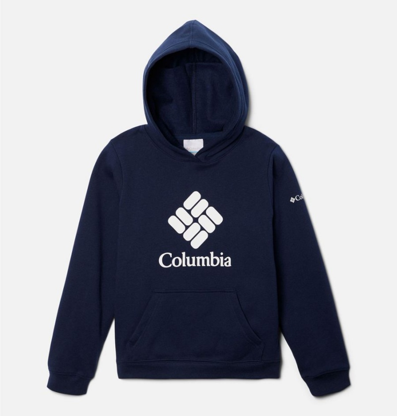 Navy Kids\' Columbia Trek Pullover Hoodie | TNSEJ-3941