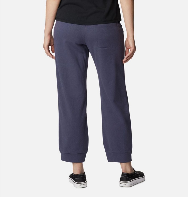 Navy Women's Columbia Lodge French Terry Pull-On Pants | CYSZI-5630