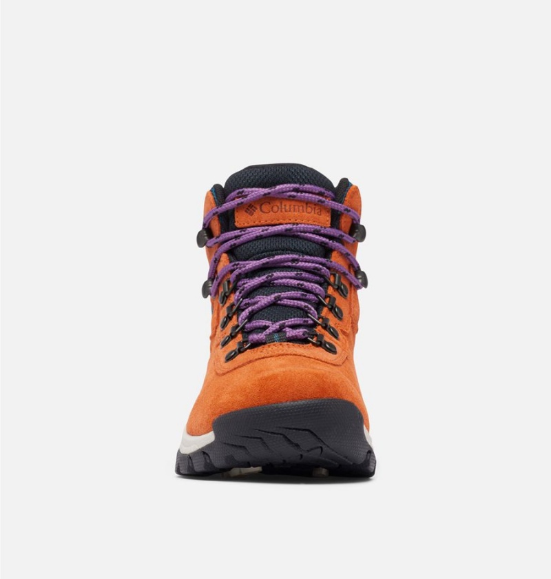 Orange Women's Columbia Newton Ridge Plus Waterproof Amped Boot Hiking Shoes | VNMSW-2613