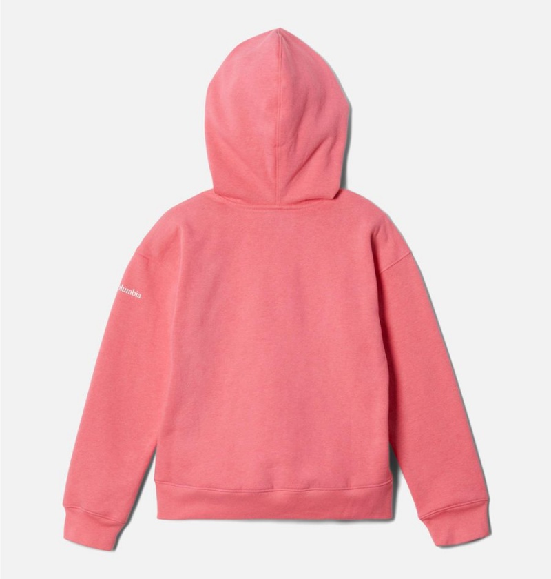 Pink Kids' Columbia Trek Novelty Hoodie | GDFMN-8763