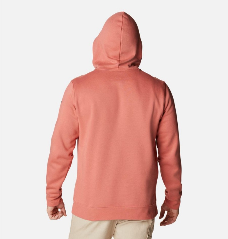 Pink Men's Columbia Trek Hoodie | MYPUF-7859