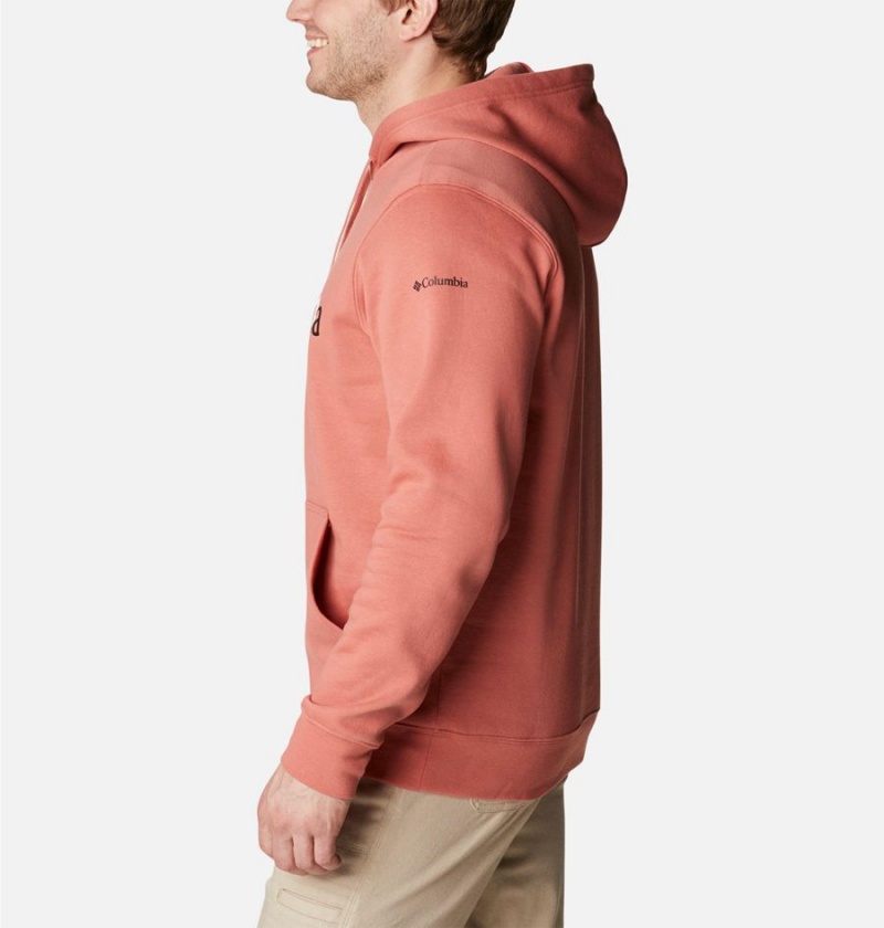 Pink Men's Columbia Trek Hoodie | MYPUF-7859