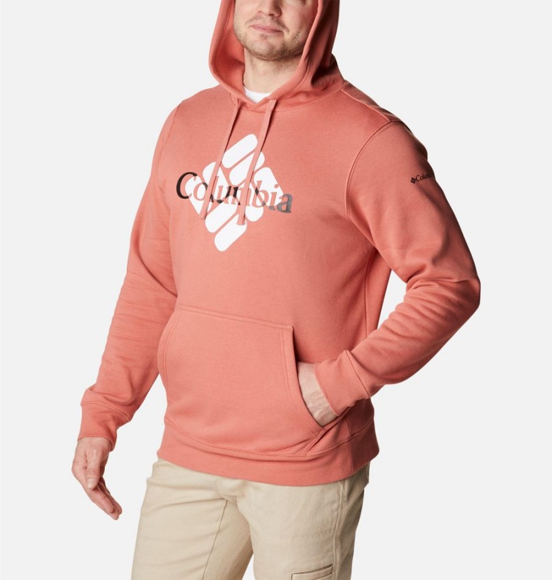 Pink Men's Columbia Trek Hoodie | MYPUF-7859