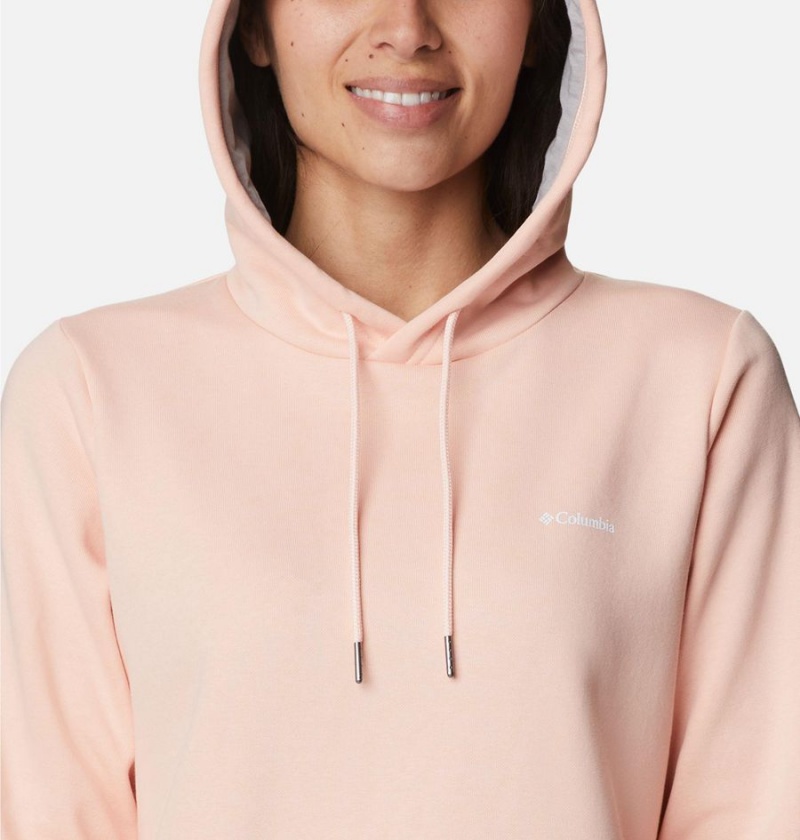 Pink Women's Columbia Rush Valley Long Hoodie | RJSEF-5981