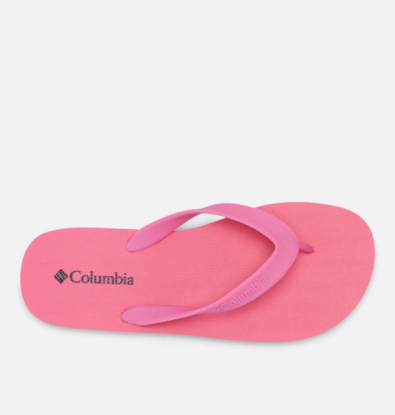 Pink Women's Columbia Sun Trek Flip Flop Sandals | TKPLM-7019