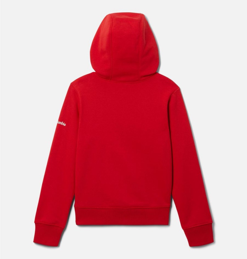 Red Kids' Columbia Dragonfly Ridge Hoodie | BTQXG-7410