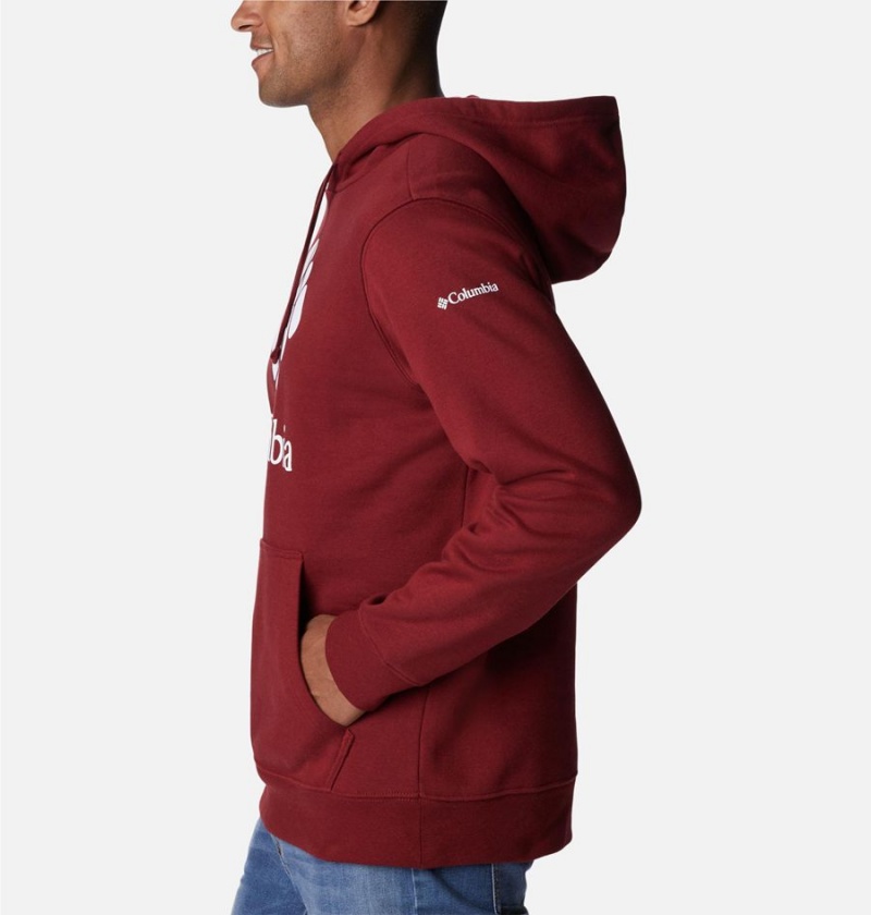 Red Men's Columbia Trek Hoodie | OGEJF-6052