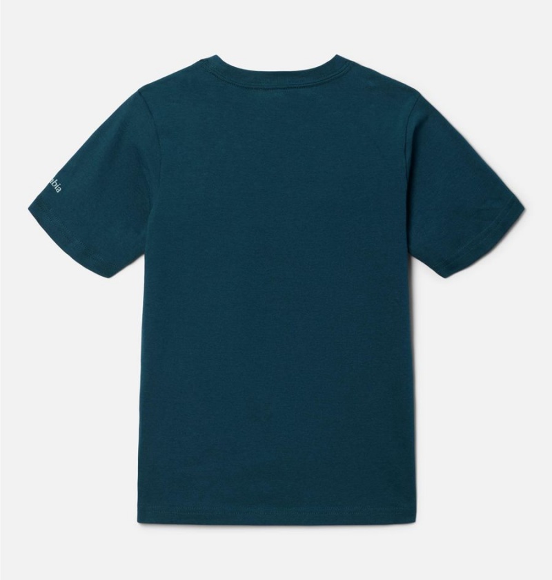 Turquoise Kids' Columbia Basin Ridge Short Sleeve Graphic T-Shirt | ELBGC-1563