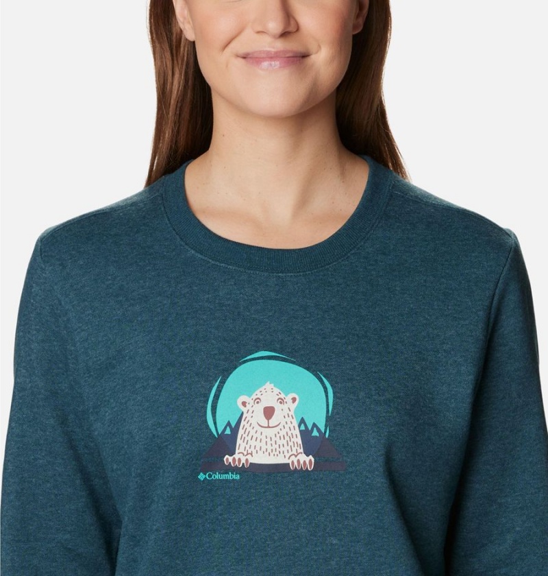 Turquoise Women's Columbia Hart Mountain II Graphic Crew Pullover | ZNGMV-4109